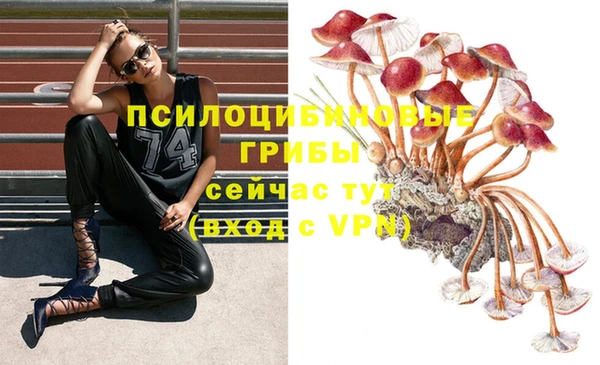 кокаин перу Алзамай