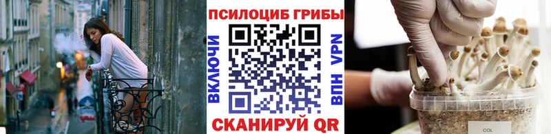 Псилоцибиновые грибы прущие грибы  Усть-Илимск 