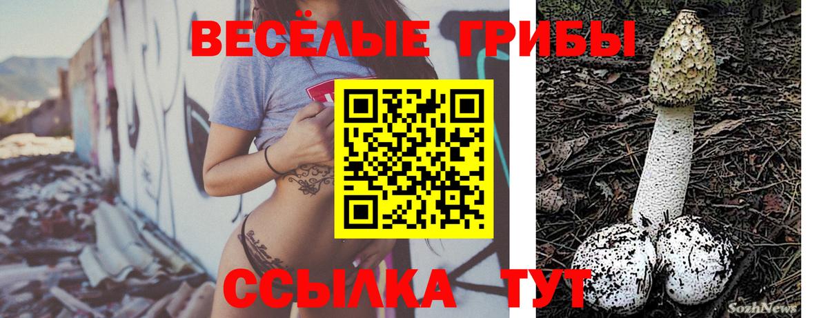 Галлюциногенные грибы ЛСД Усть-Илимск