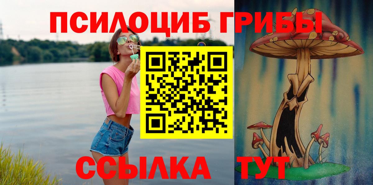 Галлюциногенные грибы Magic Shrooms  где купить   Усть-Илимск  Галлюциногенные грибы GOLDEN TEACHER  Вход с VPN 